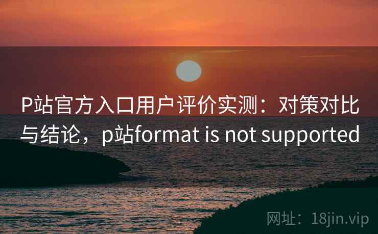 P站官方入口用户评价实测：对策对比与结论，p站format is not supported