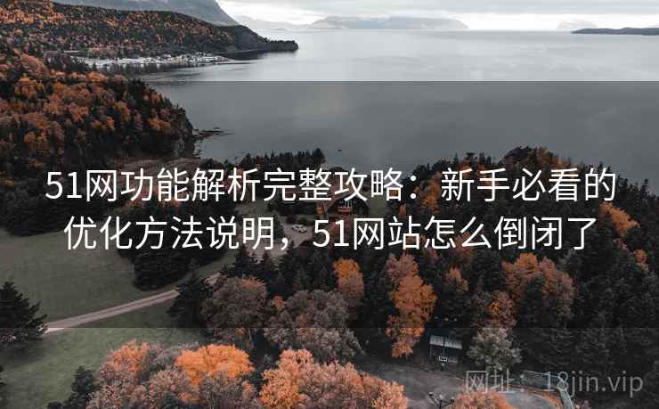 51网功能解析完整攻略：新手必看的优化方法说明，51网站怎么倒闭了