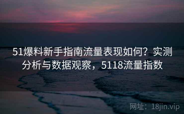 51爆料新手指南流量表现如何？实测分析与数据观察，5118流量指数