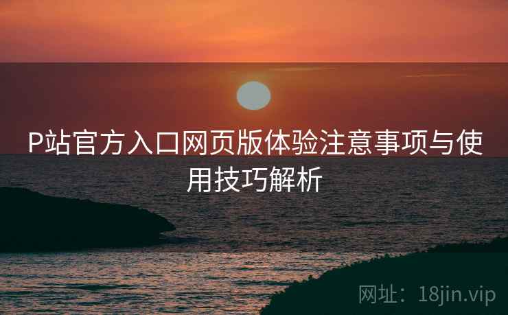 P站官方入口网页版体验注意事项与使用技巧解析