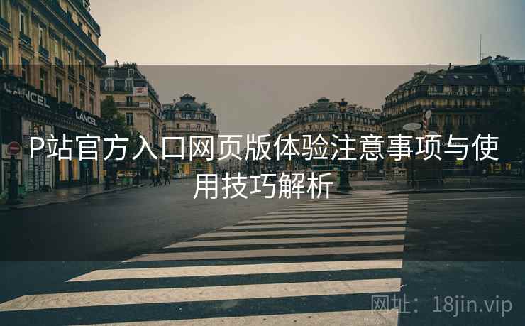 P站官方入口网页版体验注意事项与使用技巧解析