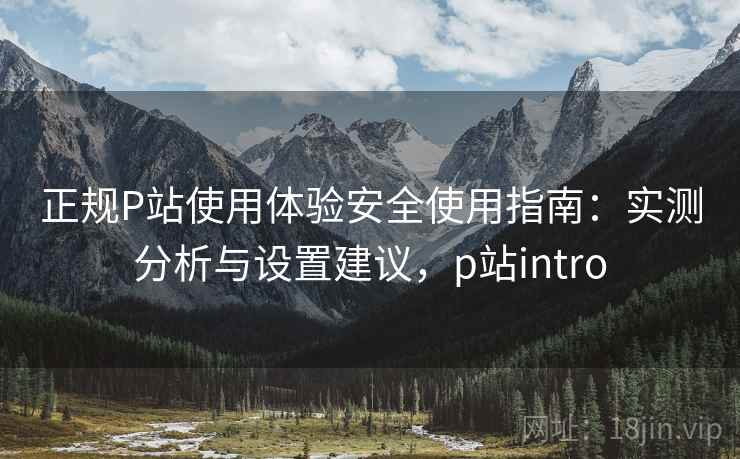 正规P站使用体验安全使用指南：实测分析与设置建议，p站intro