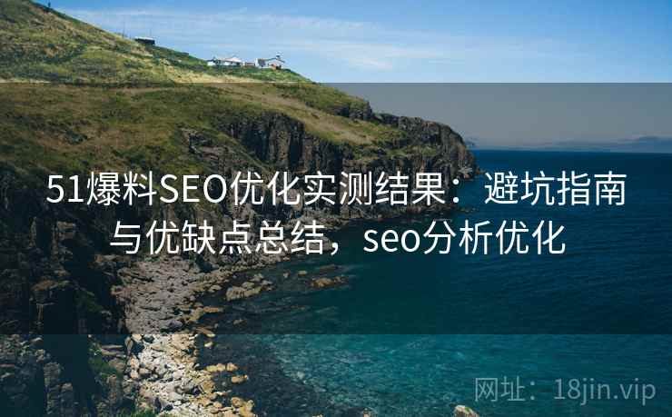 51爆料SEO优化实测结果：避坑指南与优缺点总结，seo分析优化