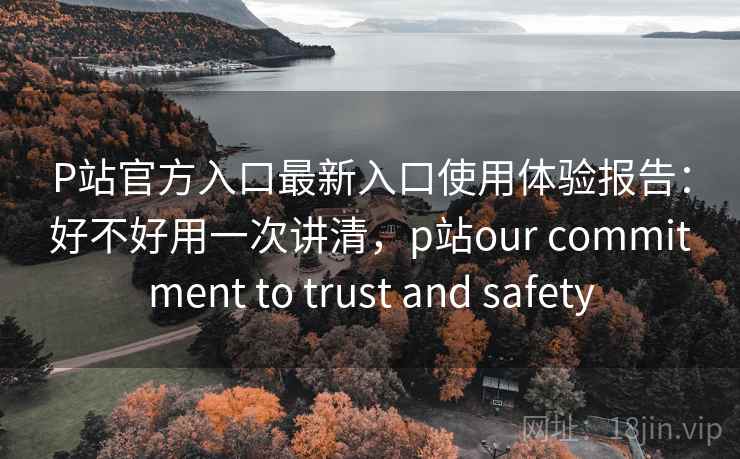 P站官方入口最新入口使用体验报告：好不好用一次讲清，p站our commitment to trust and safety